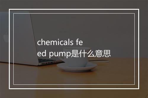 chemicals feed pump是什么意思