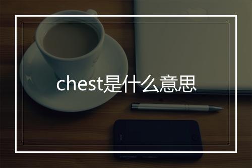 chest是什么意思