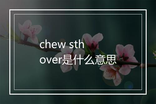 chew sth over是什么意思