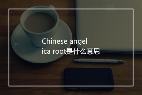 Chinese angelica root是什么意思