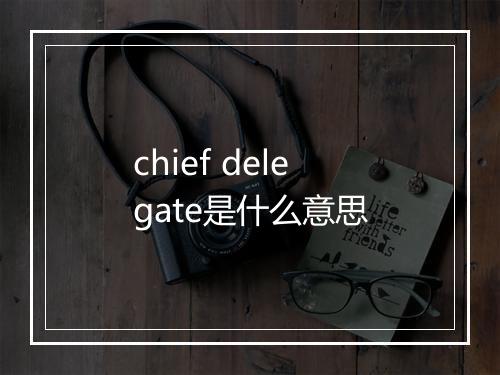 chief delegate是什么意思