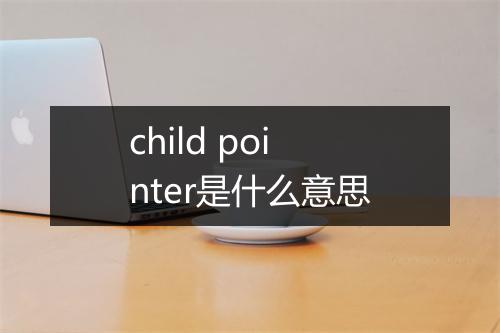 child pointer是什么意思