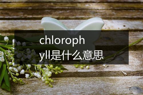 chlorophyll是什么意思