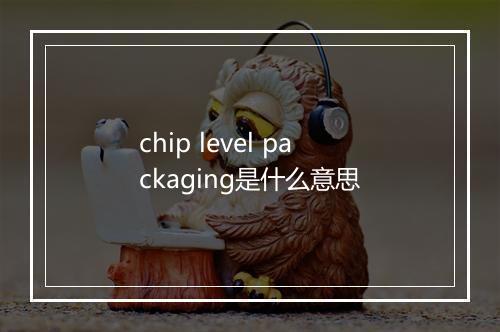 chip level packaging是什么意思