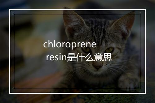 chloroprene resin是什么意思