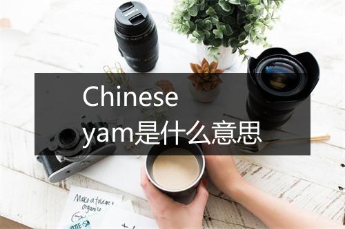 Chinese yam是什么意思