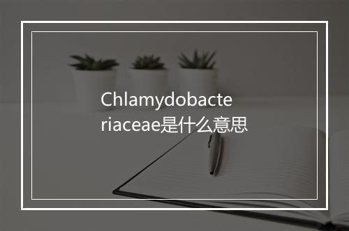 Chlamydobacteriaceae是什么意思