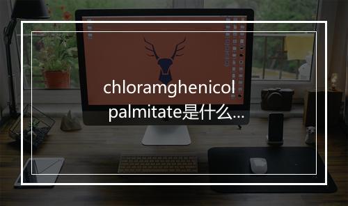 chloramghenicol palmitate是什么意思