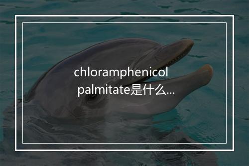 chloramphenicol palmitate是什么意思