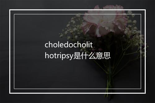 choledocholithotripsy是什么意思