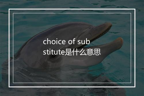 choice of substitute是什么意思