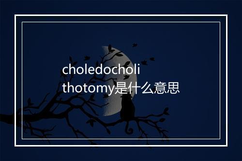 choledocholithotomy是什么意思