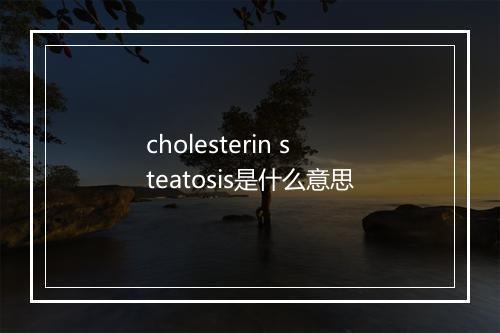 cholesterin steatosis是什么意思