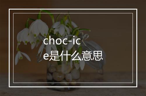 choc-ice是什么意思