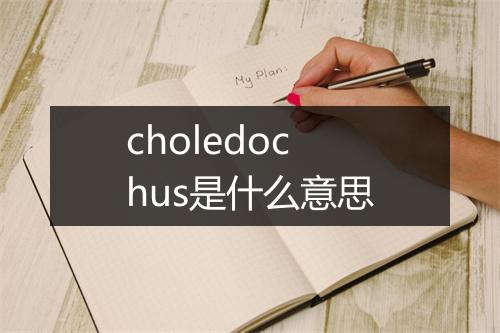 choledochus是什么意思