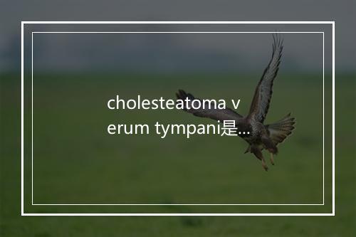 cholesteatoma verum tympani是什么意思