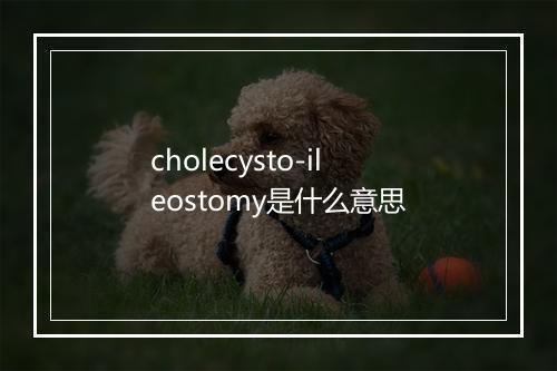 cholecysto-ileostomy是什么意思