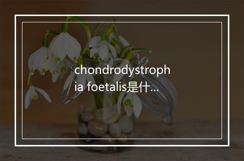 chondrodystrophia foetalis是什么意思