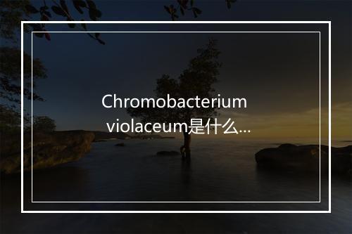 Chromobacterium violaceum是什么意思