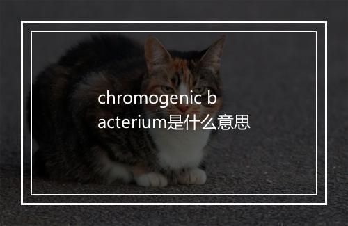 chromogenic bacterium是什么意思