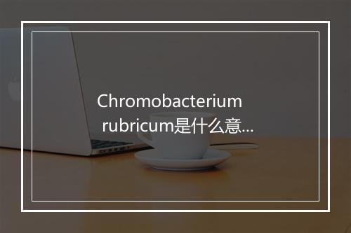 Chromobacterium rubricum是什么意思