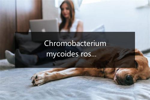 Chromobacterium mycoides roseum是什么意思