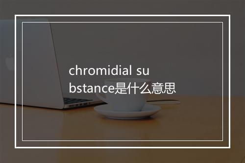 chromidial substance是什么意思