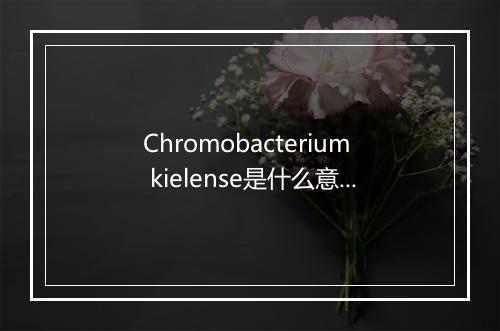 Chromobacterium kielense是什么意思