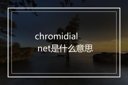 chromidial net是什么意思