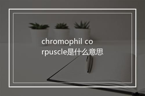 chromophil corpuscle是什么意思