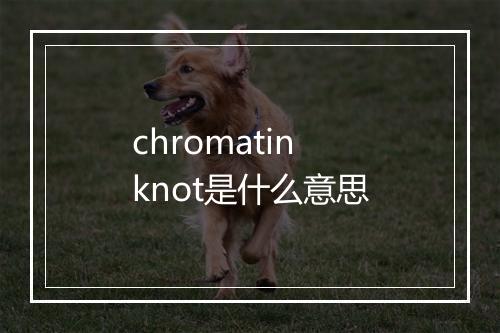 chromatin knot是什么意思