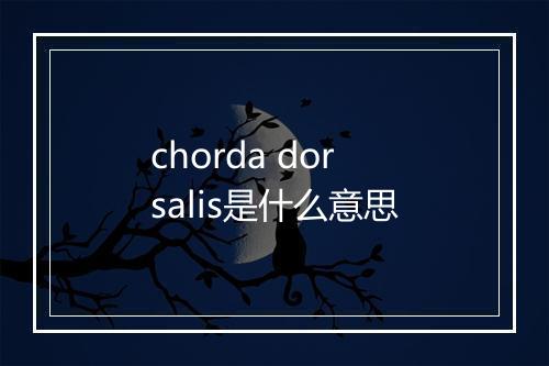 chorda dorsalis是什么意思