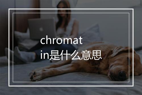 chromatin是什么意思