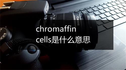 chromaffin cells是什么意思