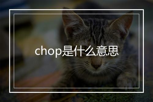 chop是什么意思