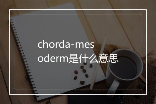 chorda-mesoderm是什么意思