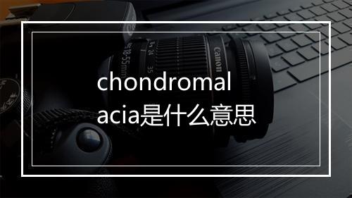 chondromalacia是什么意思