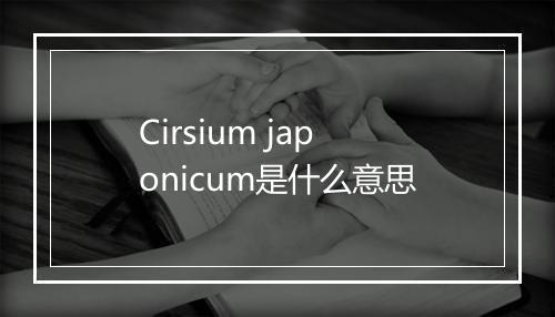 Cirsium japonicum是什么意思