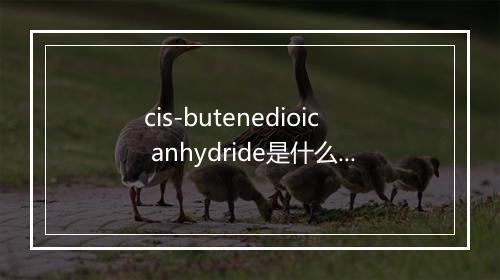 cis-butenedioic anhydride是什么意思