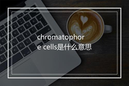 chromatophore cells是什么意思