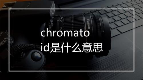 chromatoid是什么意思