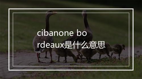 cibanone bordeaux是什么意思