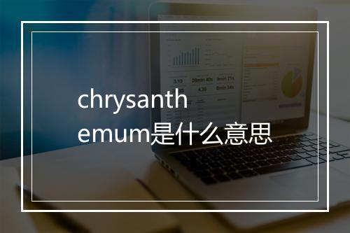 chrysanthemum是什么意思