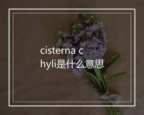 cisterna chyli是什么意思