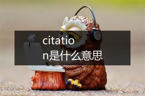 citation是什么意思