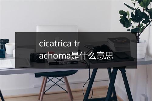 cicatrica trachoma是什么意思