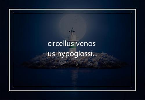 circellus venosus hypoglossi是什么意思