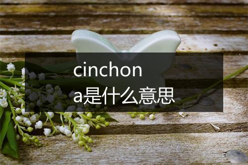 cinchona是什么意思