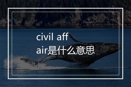 civil affair是什么意思