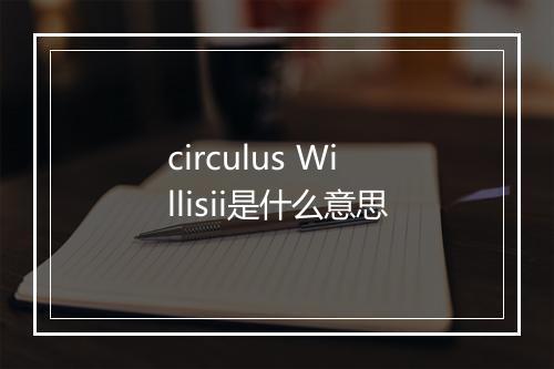 circulus Willisii是什么意思